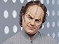 Dr Phlox